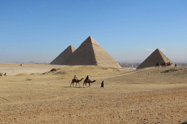 A scenic view of camels walking near the Great Pyramids of Giza under a clear blue sky.